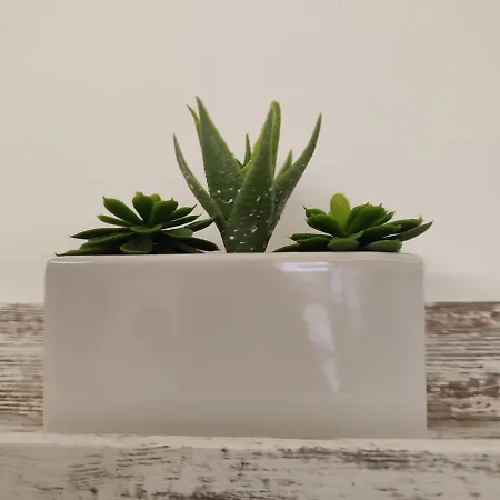 Casetta Al Vomero Apartament